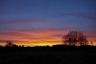 200102 SONY  (1).jpg